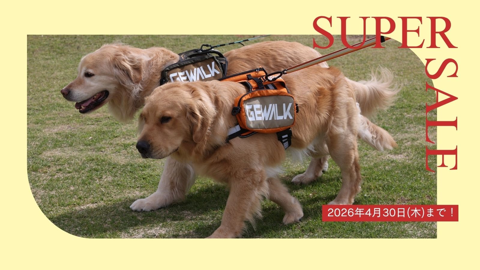 GEWALK goods
