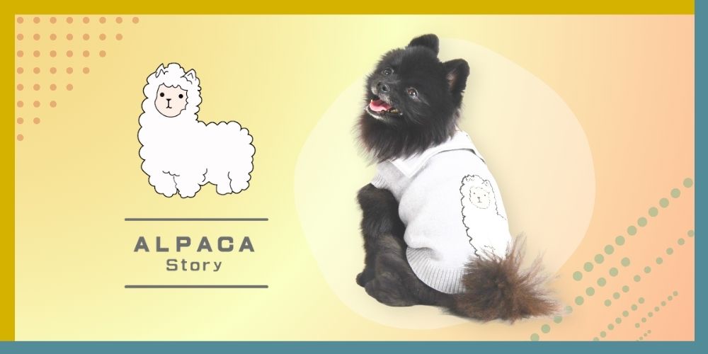 ALPACA Story