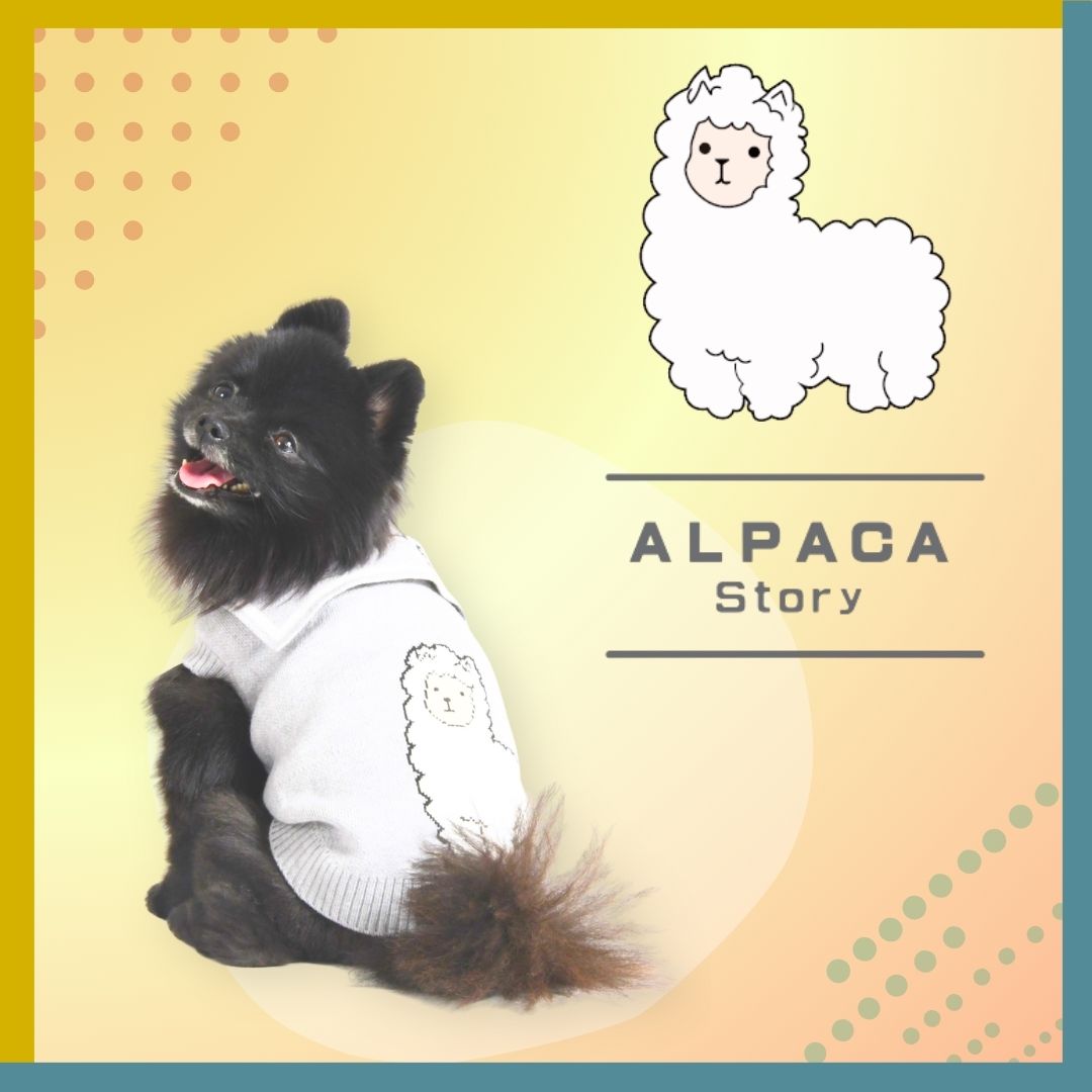 ALPACA Story
（アルパカストーリー）