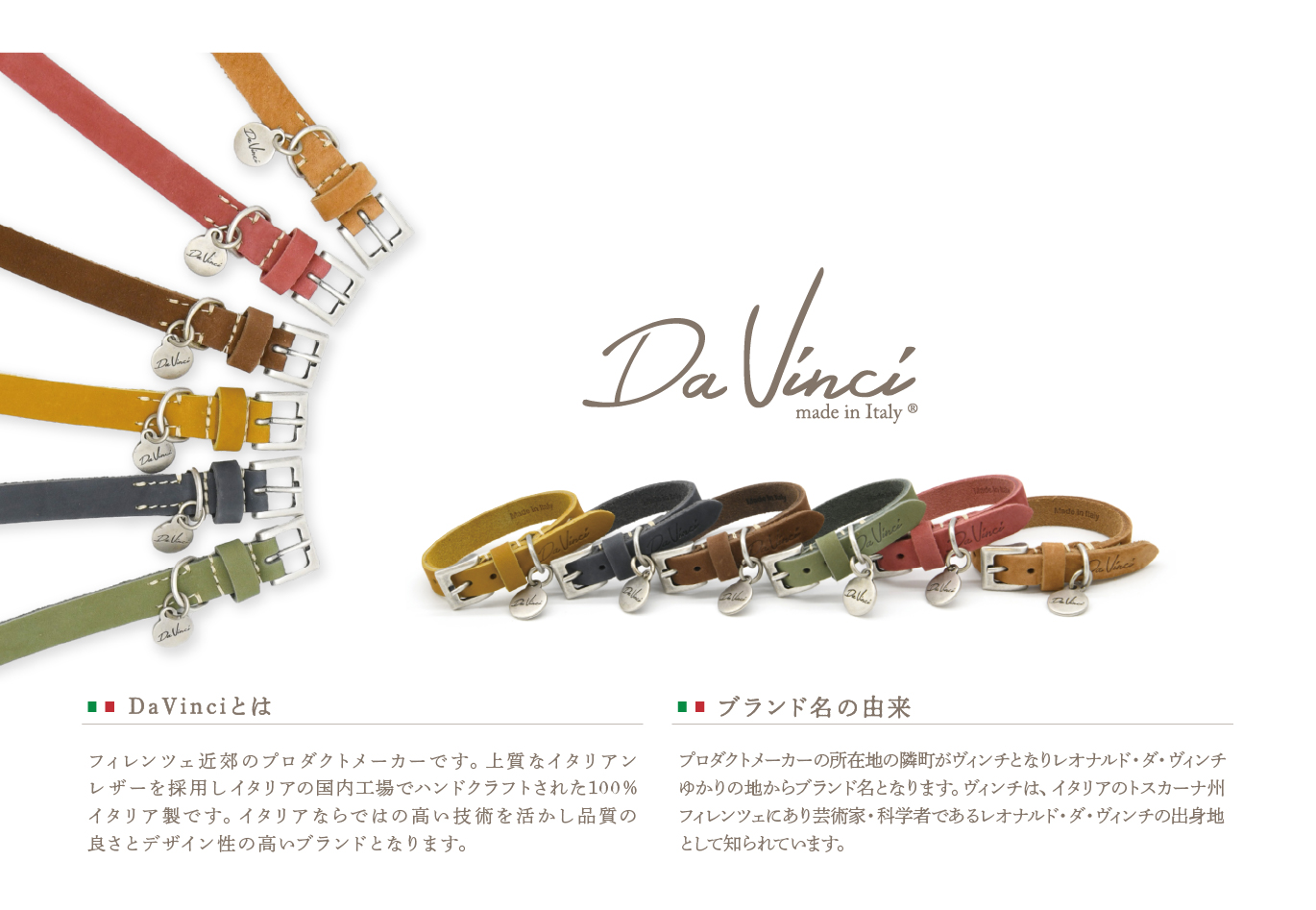 Da Vinci（ダウィンチ）とは・名前の由来
