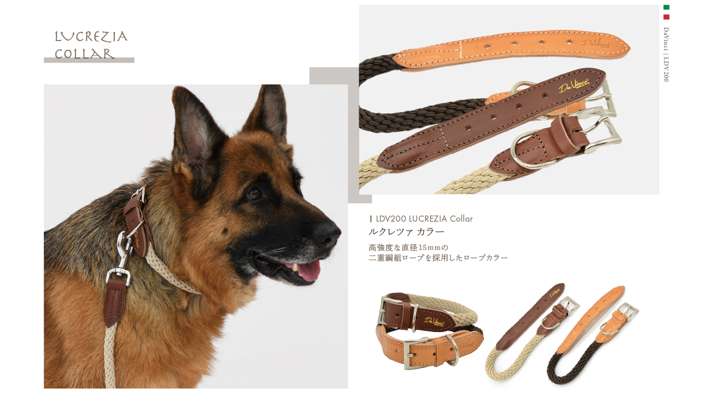 Da Vinci（ダウィンチ） LDV200 ルクレツァカラー・首輪