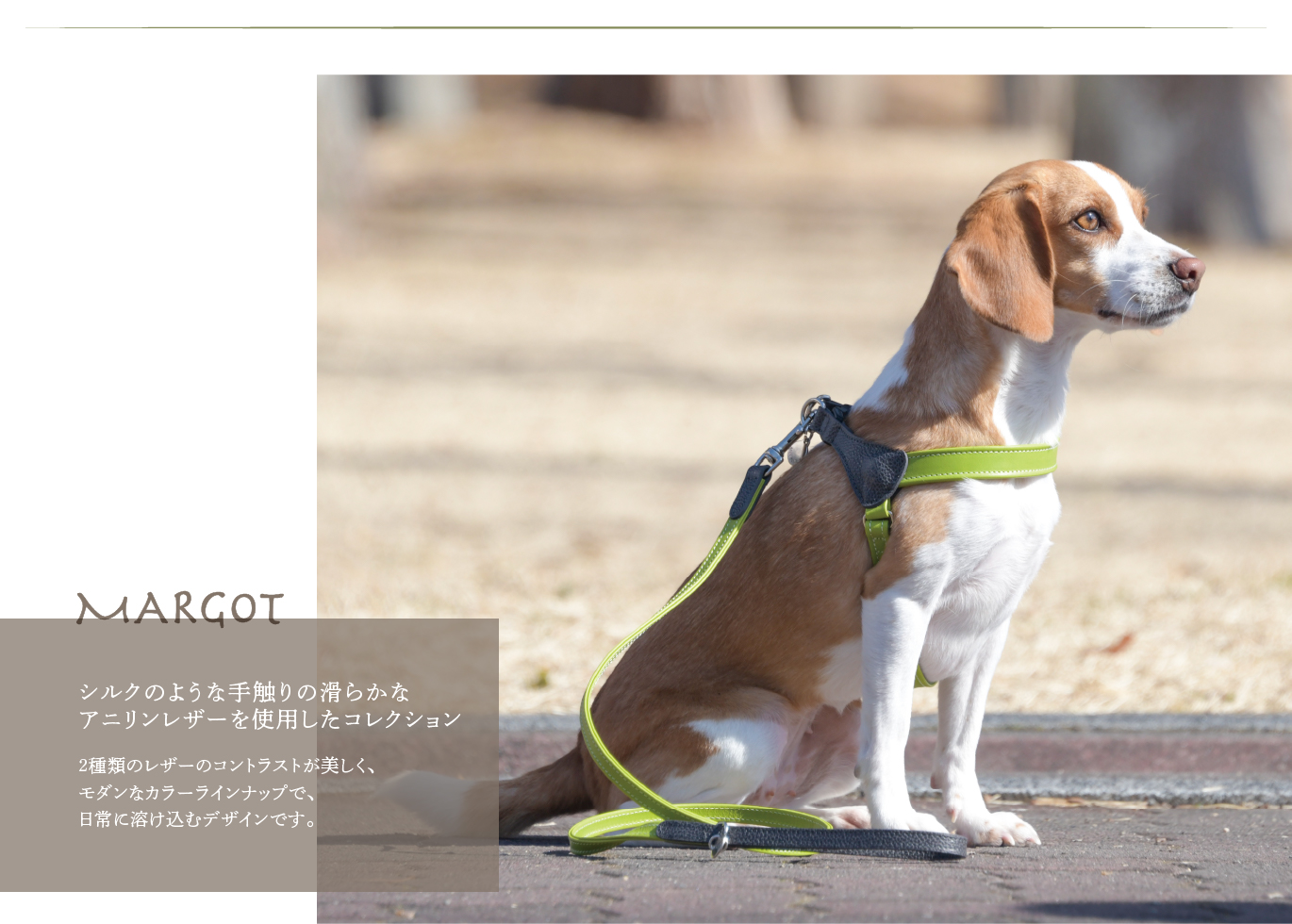 Da Vinci（ダウィンチ）MARGOT/マルゴット