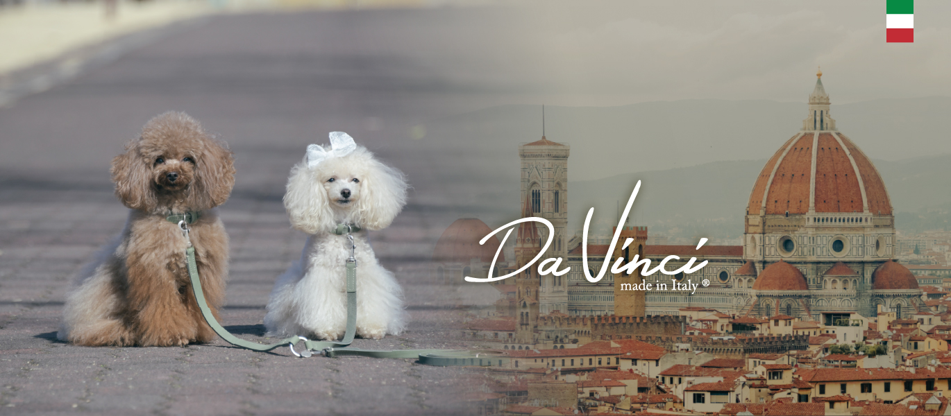 Da Vinci（ダウィンチ）