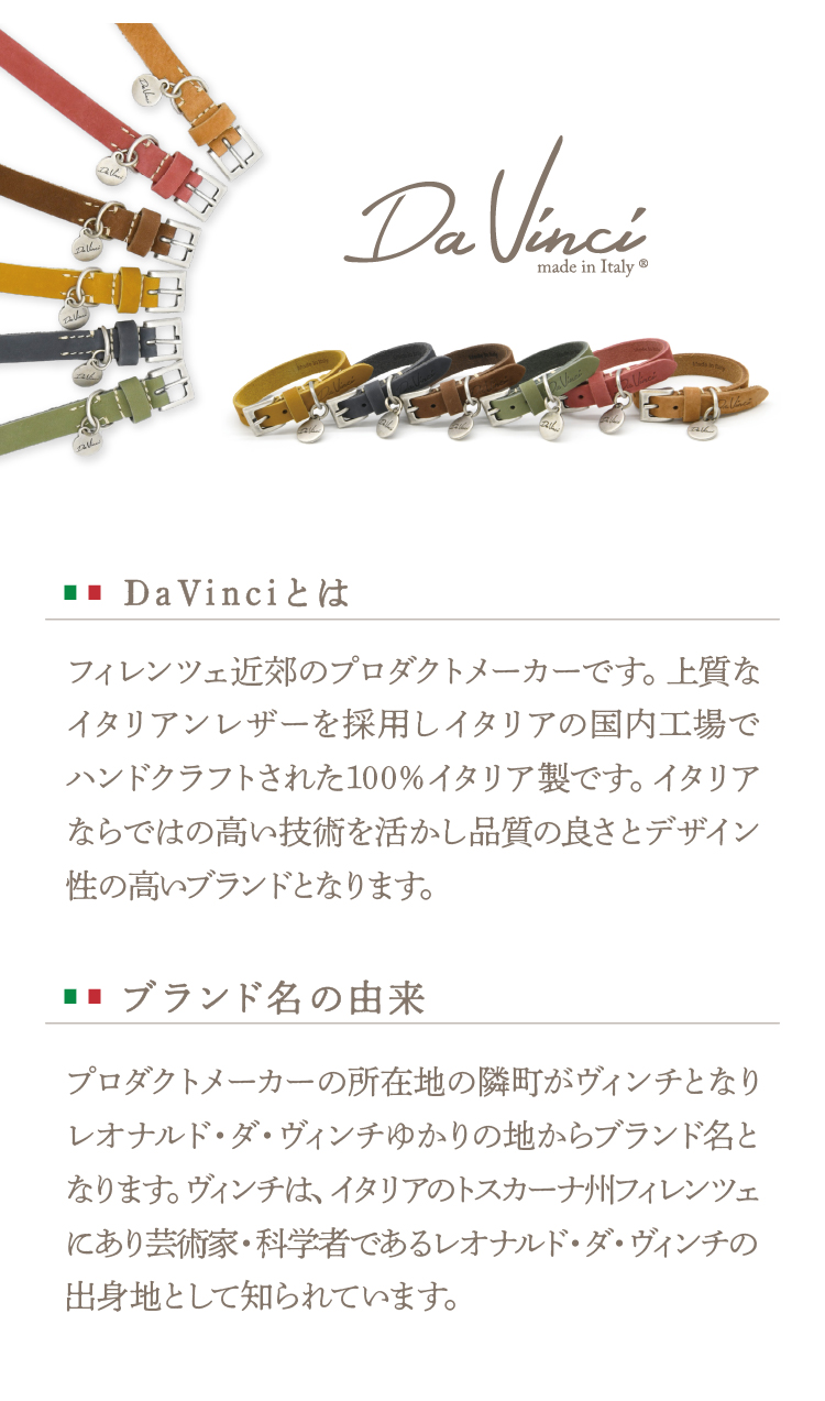 Da Vinci（ダウィンチ）とは・名前の由来