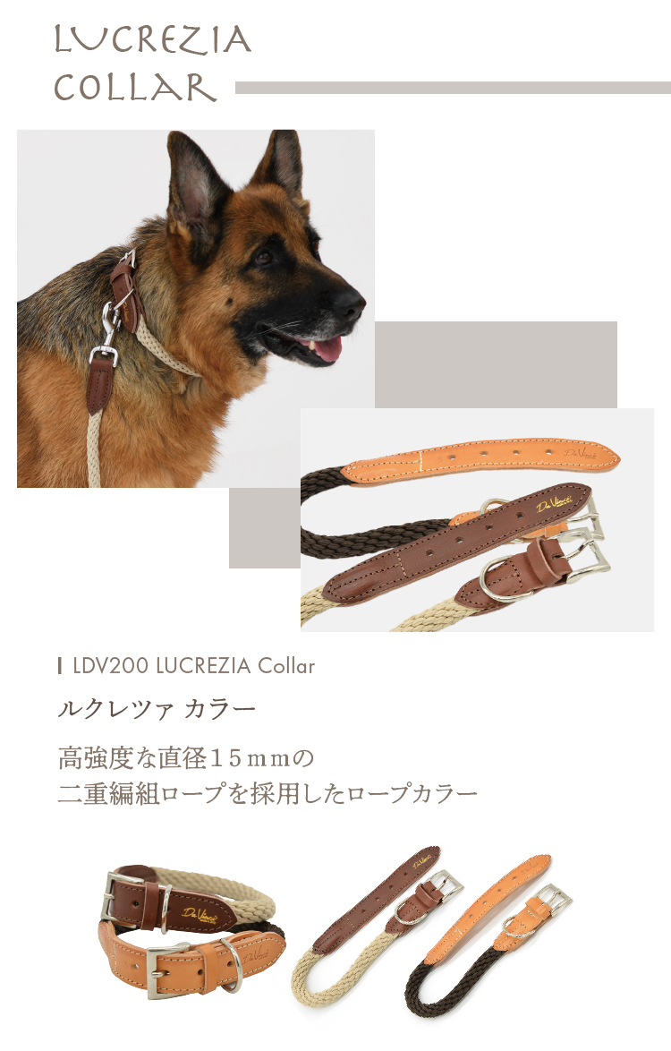 Da Vinci（ダウィンチ） LDV200 ルクレツァカラー・首輪