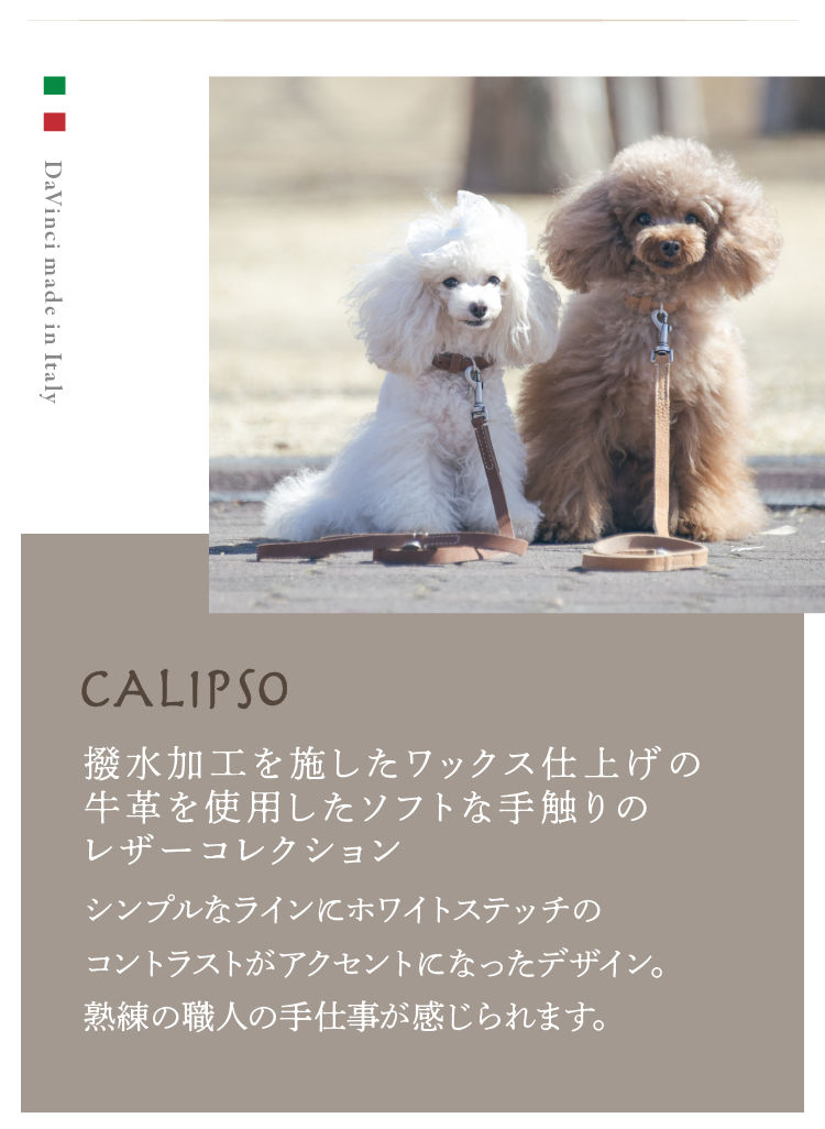 Da Vinci（ダウィンチ）CALIPSO/カリプソ