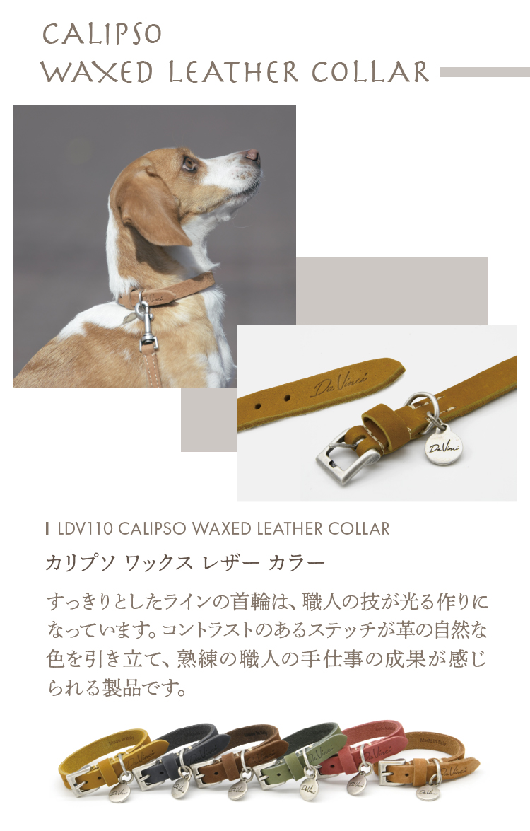 Da Vinci（ダウィンチ）LDV110 カリプソ　ワックス　レザー　カラー