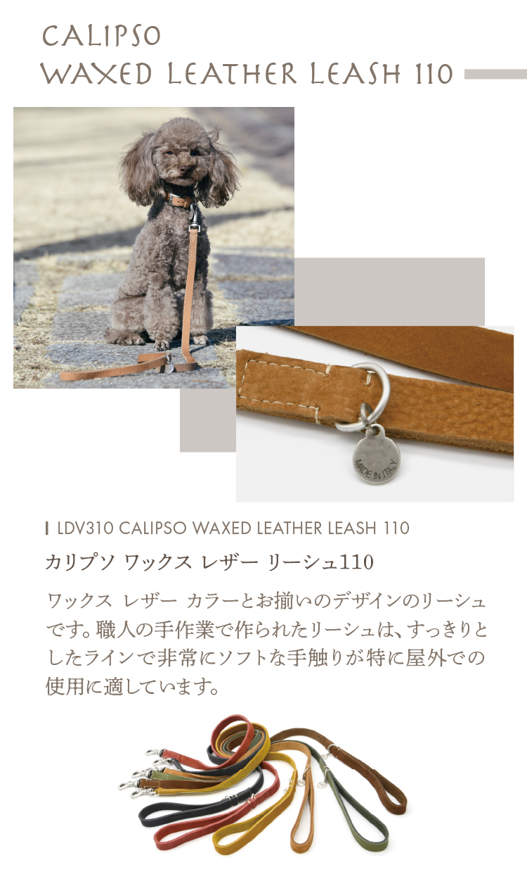 Da Vinci（ダウィンチ）LDV310 カリプソ　ワックス　レザー　リーシュ　１１０