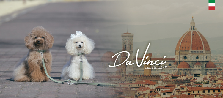 Da Vinci（ダウィンチ）MADE IN ITALY