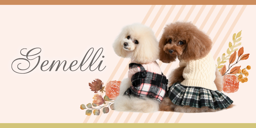 Gemelli