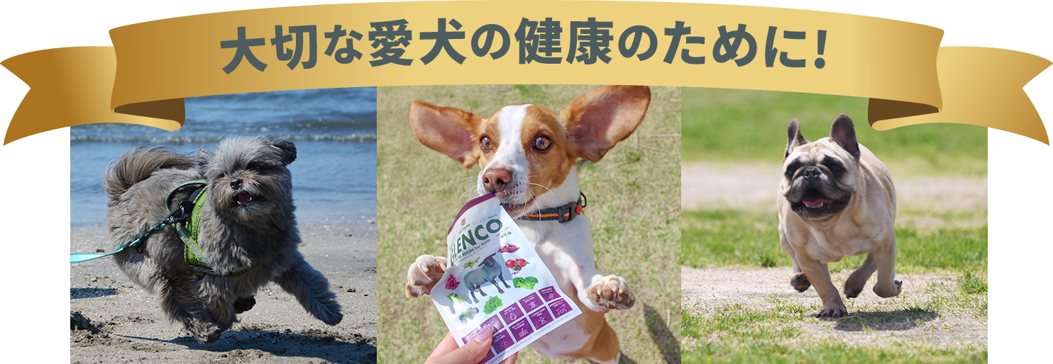 大切な愛犬の健康のために!