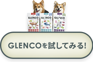 GLENCOを試してみる！