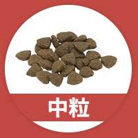 中粒
