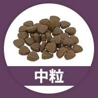 中粒