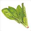 ほうれん草