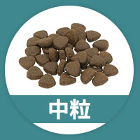 中粒