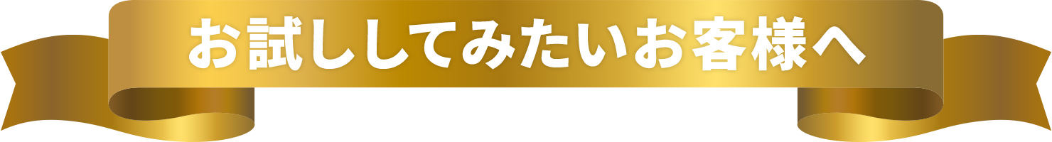 お試ししてみたいお客様へ