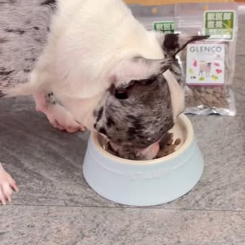 マロウ