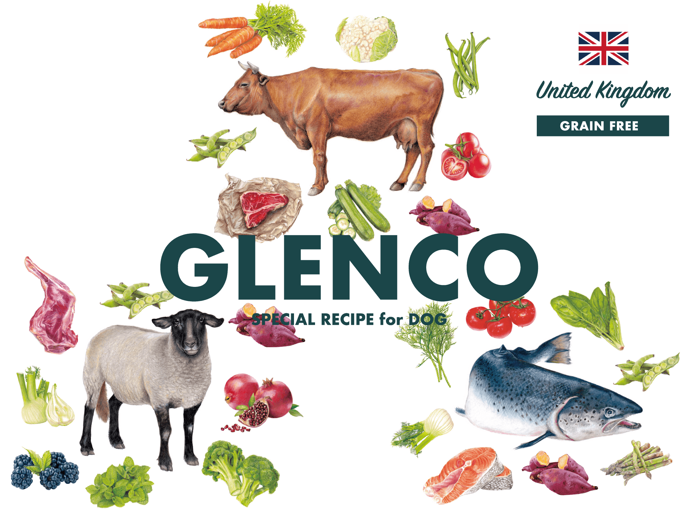 GLENCO グレンコ〜ドッグフード 100g スペシャルレシピ イギリス産の高品質ドッグフード　ヒューマングレード　人間 食べれる　シングルプロテイン　グレインフリー　FEDIAF（欧州ペットフード工業連合会）基準適合