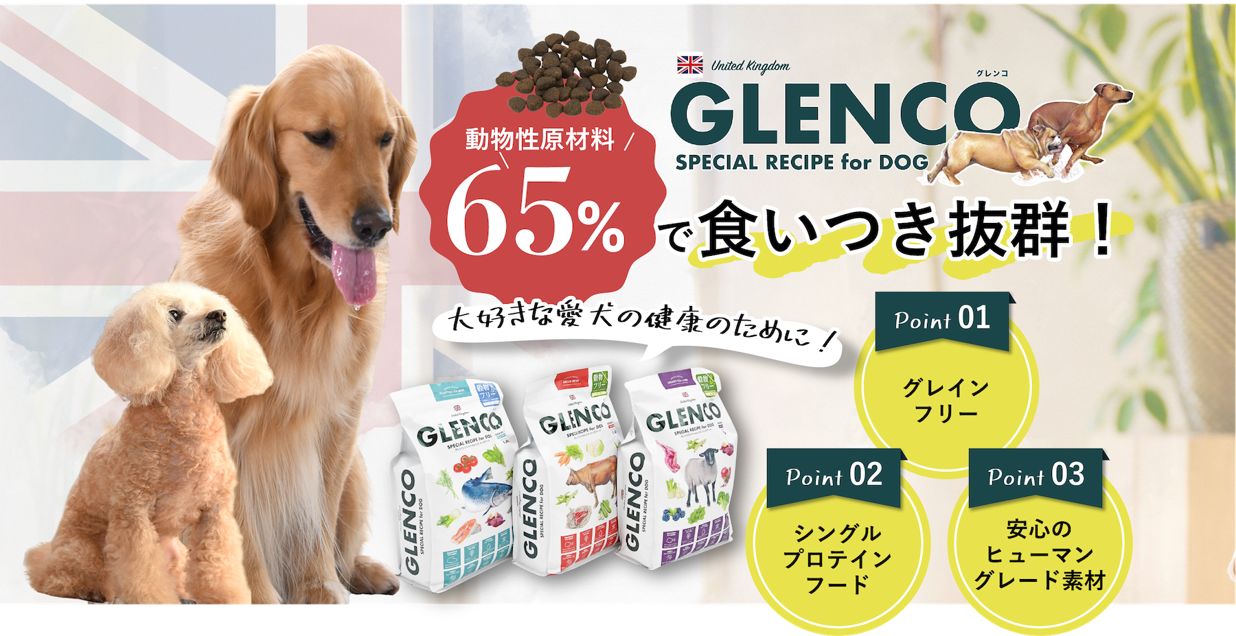 GLENCO 販売スタート