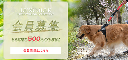 LUXCOLLE会員募集