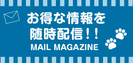 メールマガジン会員募集